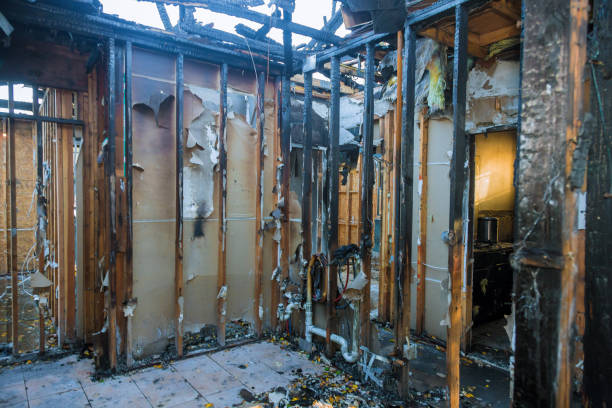 Professional Odor Removal technician working in Alexandria, VA