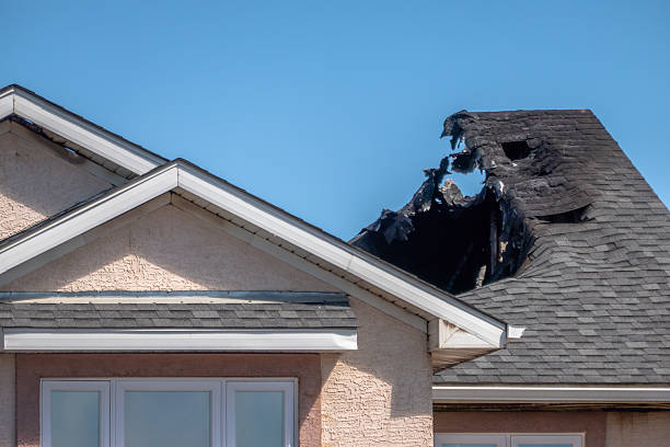 Top rated local Odor Removal specialists in Alexandria, VA
