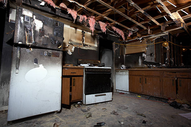 Licensed Odor Removal service in Alexandria, VA - Fire Damage Laser Cleaning